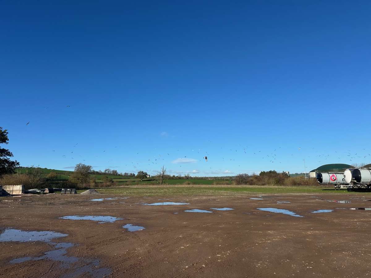 Industrial in Evercreech