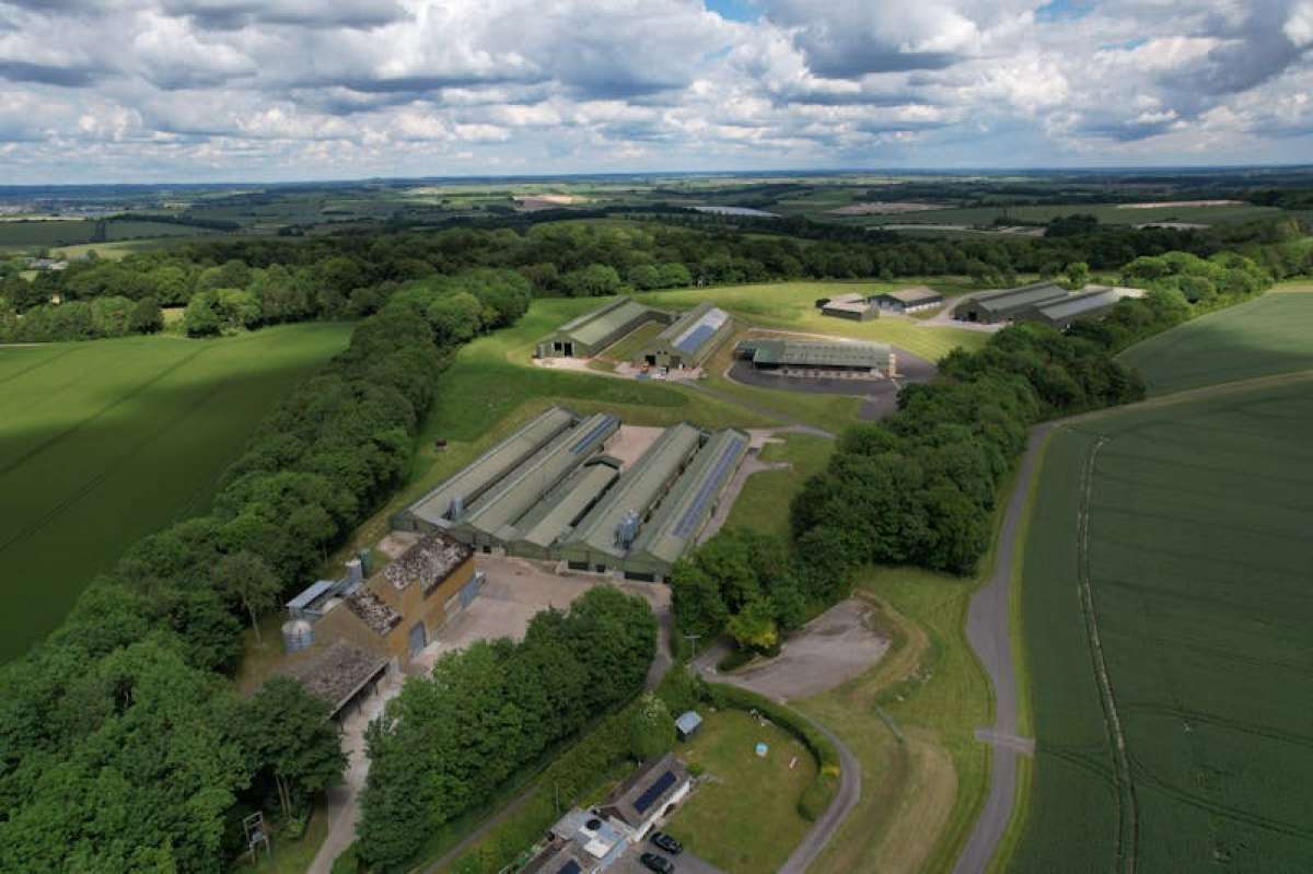 Industrial in Blandford Forum