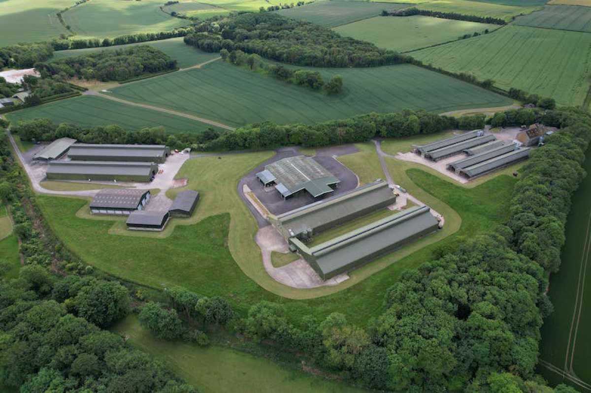 Industrial Unit in Blandford Forum - photo 4