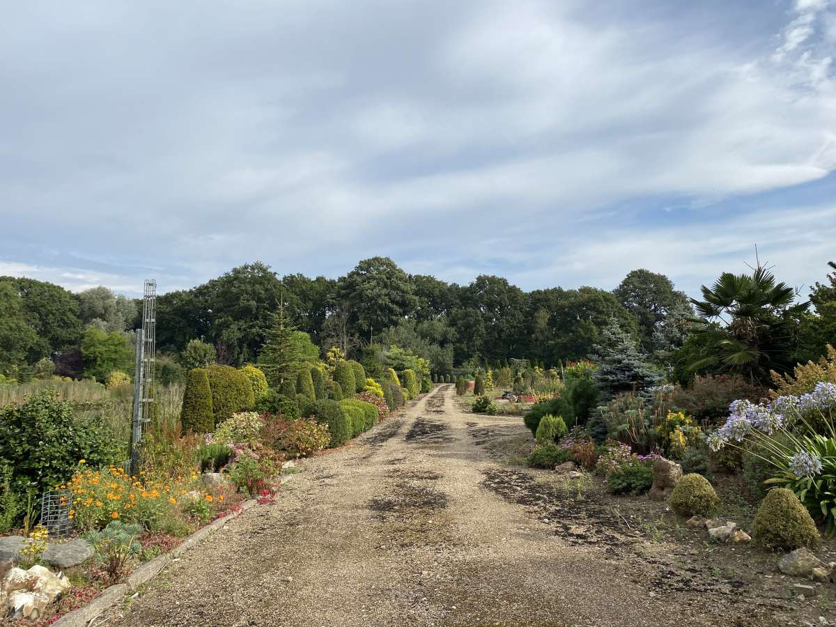 Land in Great Yarmouth - photo 4