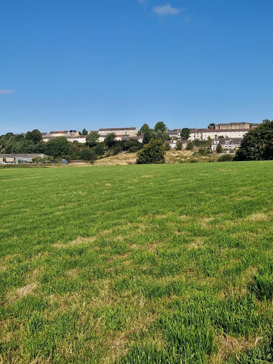 Land in Ayr - photo 3