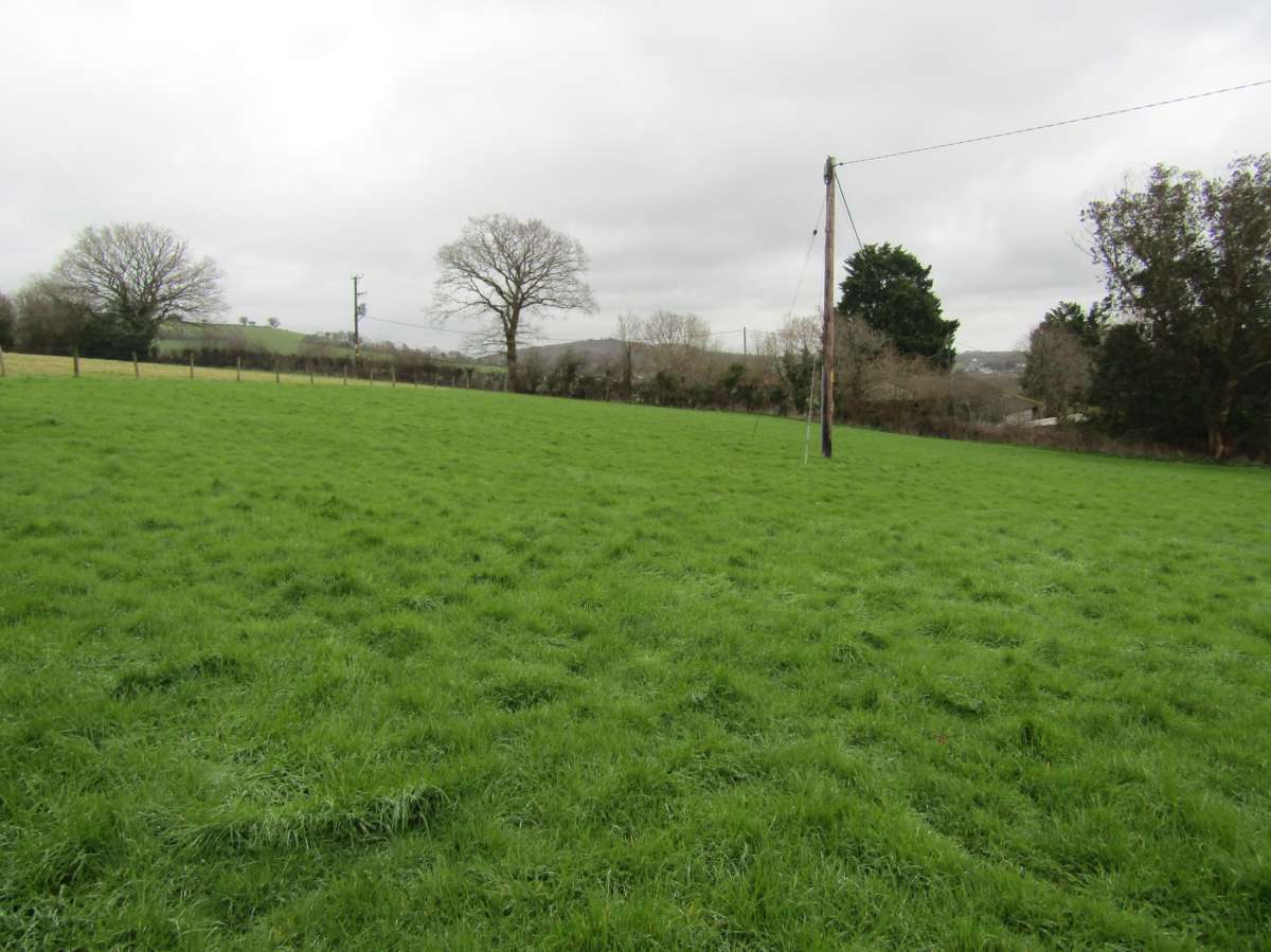 Land in Totnes - photo 4