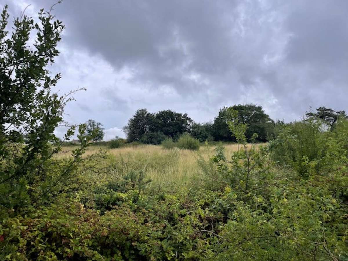 Land in Coalville - photo 2