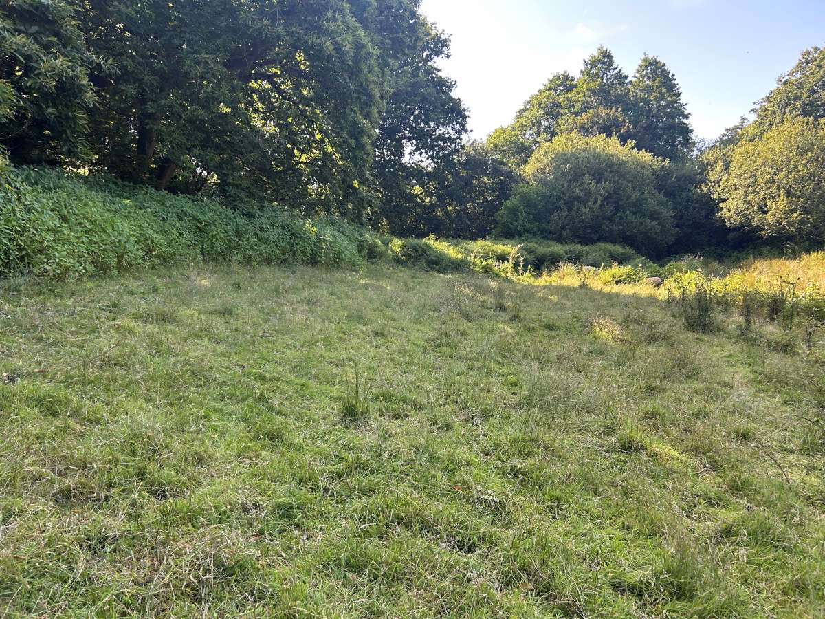 Land in Totnes - photo 4