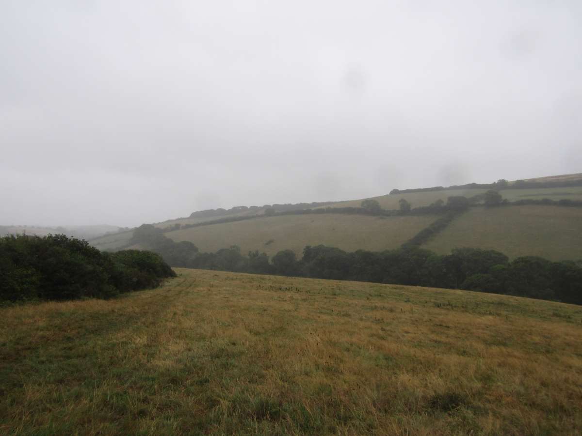 Land in Kingsbridge - photo 2