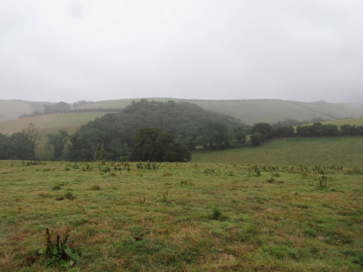 Land in Kingsbridge - photo 2