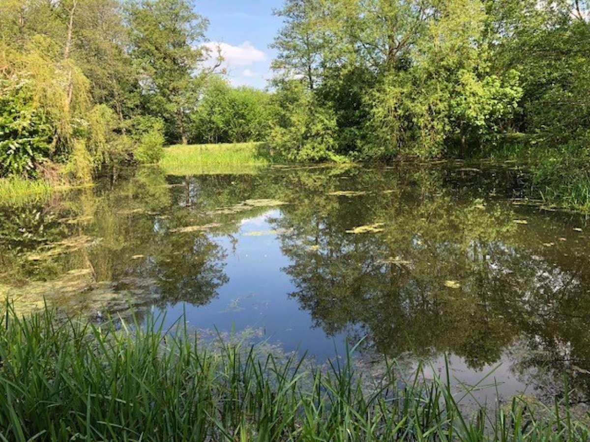 Land in Ross-On-Wye - photo 2