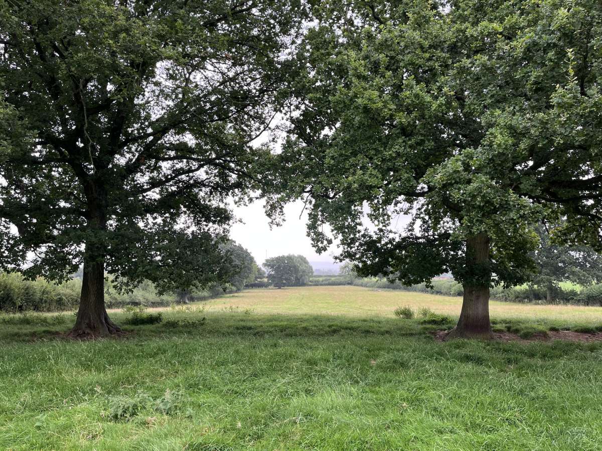 Land in Ludlow - photo 2