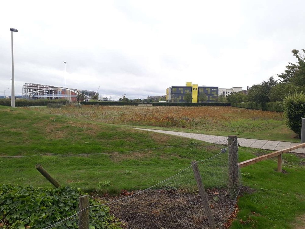 Land in Dundee - photo 2