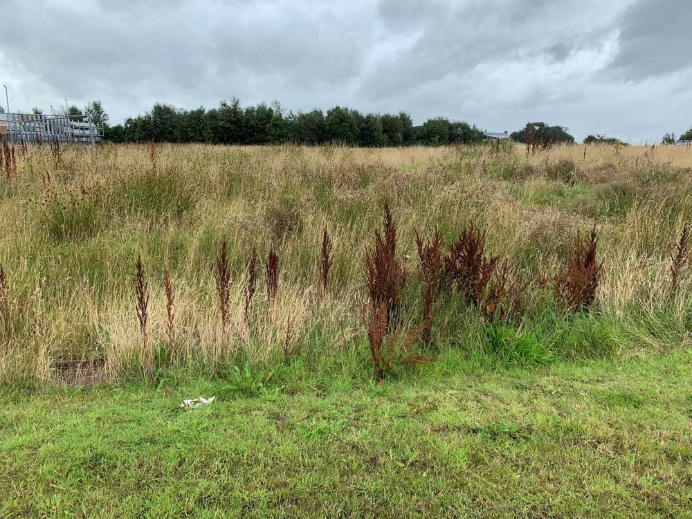 Land in Kilmarnock - photo 4