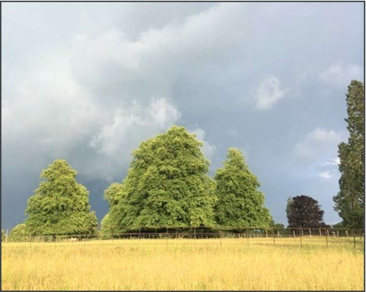 Office in Chippenham - photo 2