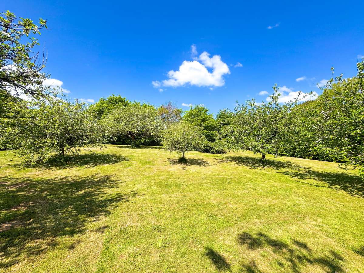 Other in Newquay - photo 3