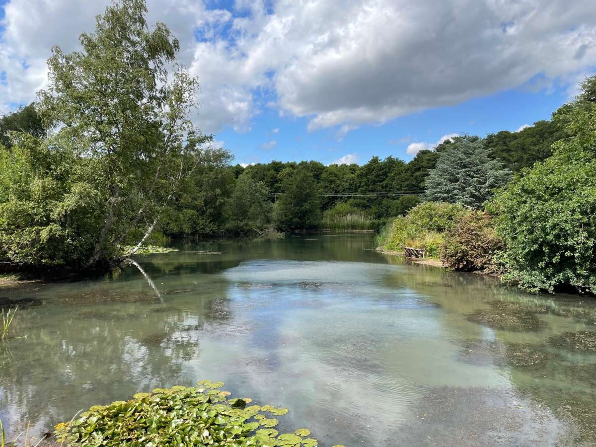 Other in Woodbridge - photo 2