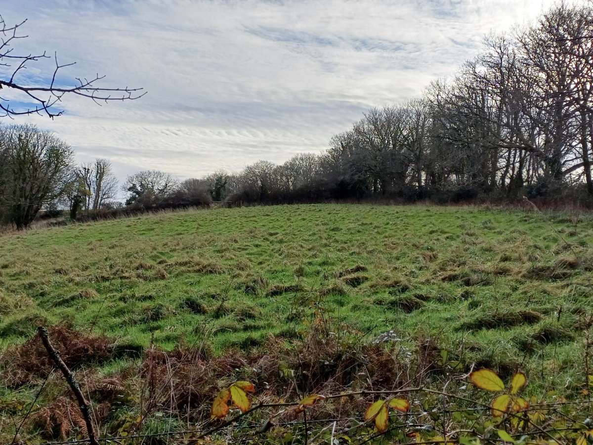 Retail in St Austell