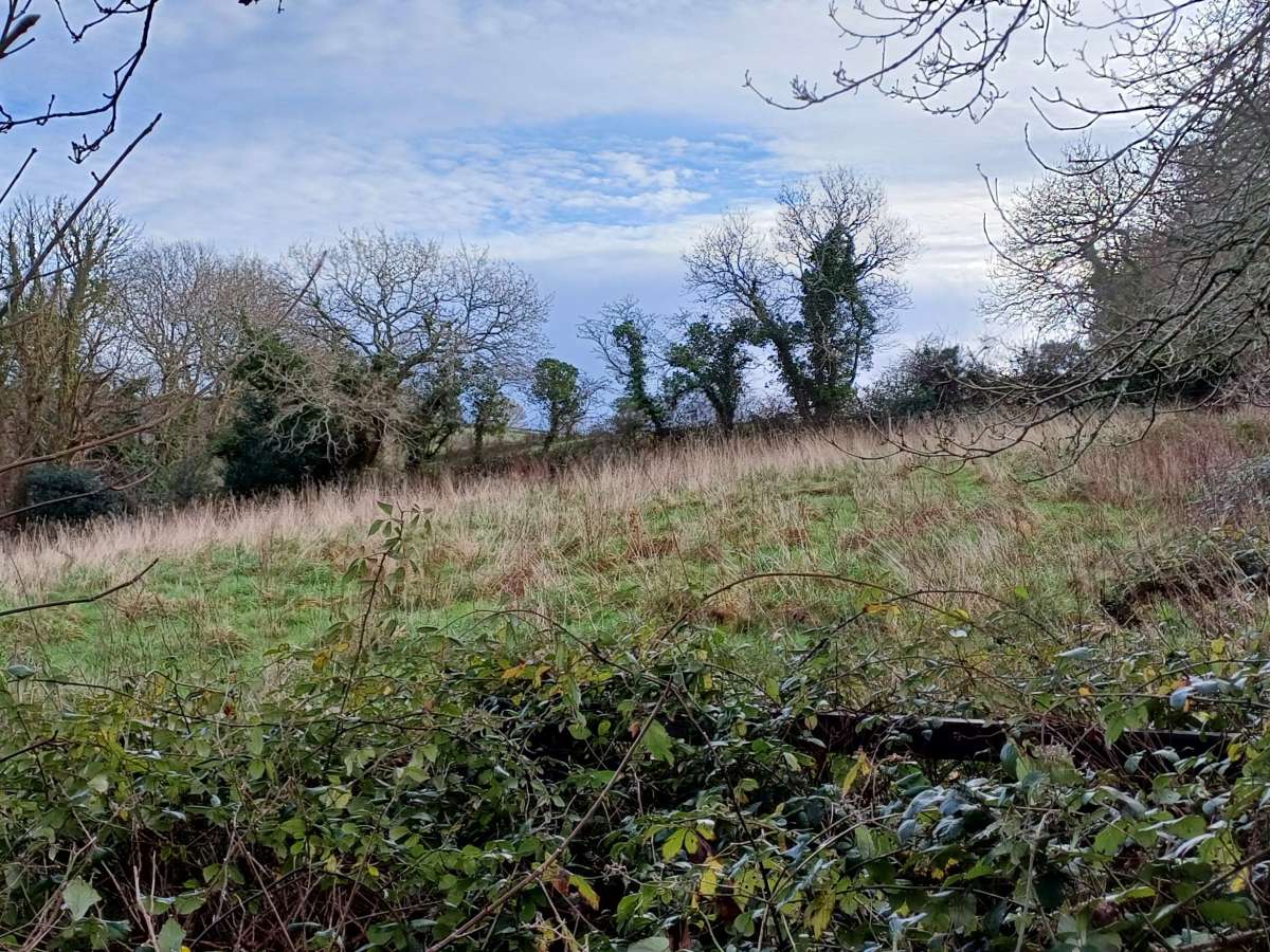 Retail/Shop in St Austell - photo 4