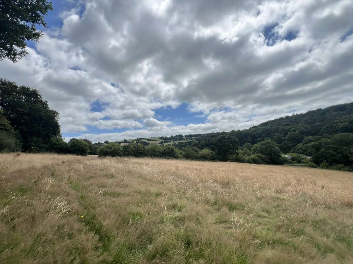 Retail/Shop in Bideford - photo 2