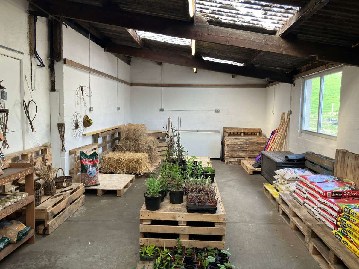 Retail/Shop in Alford - photo 4