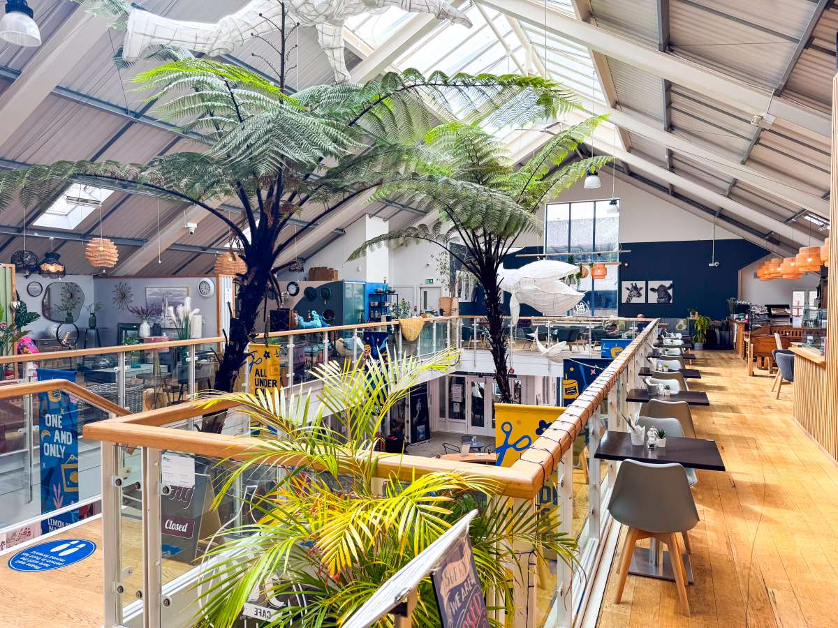 Retail/Shop in Truro - photo 3