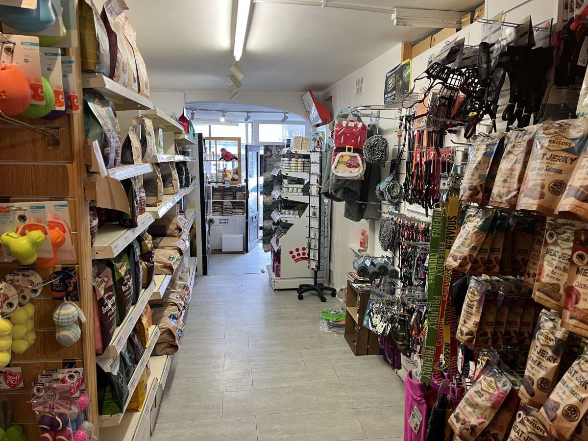 Retail/Shop in Topsham - photo 3