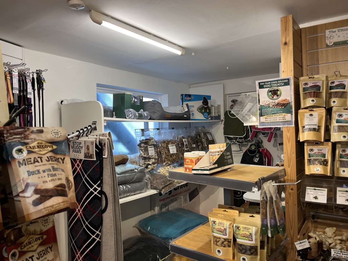 Retail/Shop in Topsham - photo 4