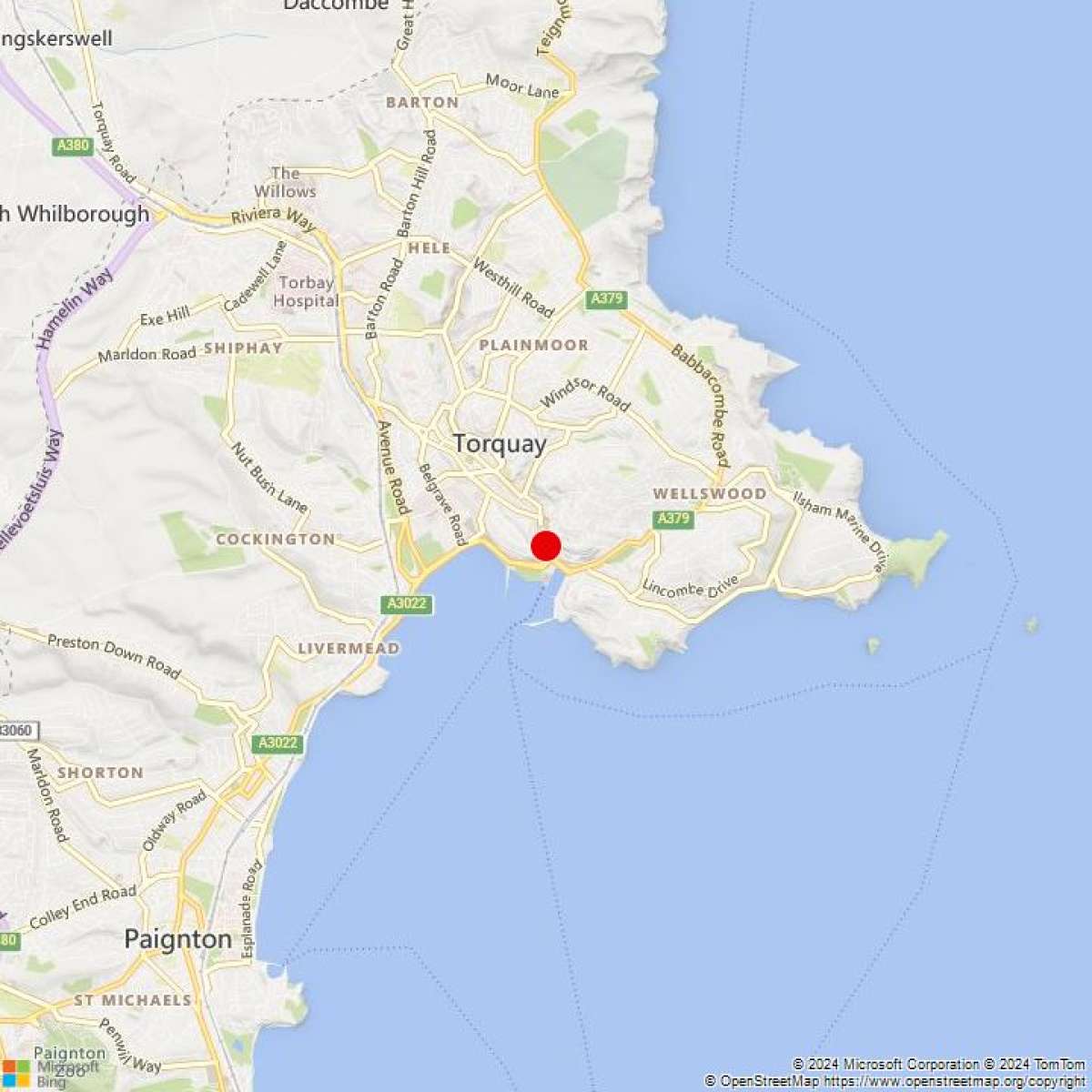 Retail/Shop in Torquay - photo 2