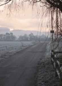 Storage in Robertsbridge - photo 2